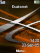 Sunny Orange C902  theme