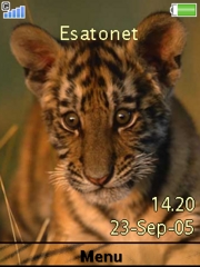 Tiger cub C902  theme