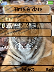Tiger cub 