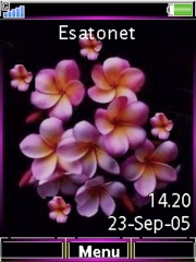 Pink flowers C510  theme