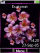 Pink flowers C510  theme