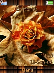 Autumn Cedar  theme