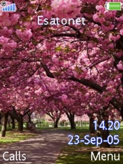 Sakura S500 theme