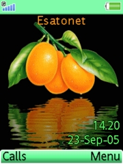 Mandarin orange K770  theme