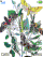 Butterrillia W880  theme