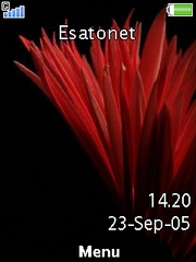 Red gerbera G705  theme