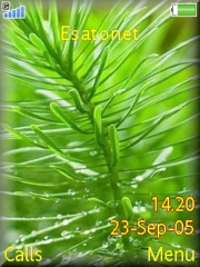 Green Theme K800 / K800i theme