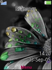 Greyflower W705  theme