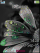 Greyflower C510  theme