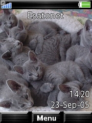 Family Cats W508  theme