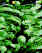 Matrix meets escher K310 / K310i theme