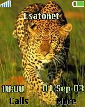 Leopard k700 theme