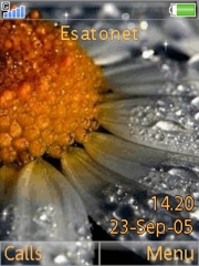 Flowers theme for Sony Ericsson K800