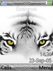 Tiger Eyes W850 theme