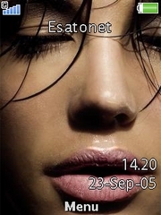 Bronze Face Cedar  theme