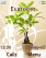 Plant W660  theme