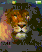 Lion W200 / W200i theme