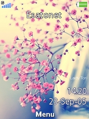 Flower W705  theme