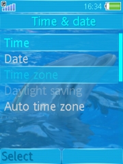 Dolphin 