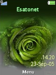 Green Rose.. Cedar  theme