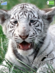 Tiger K810 theme