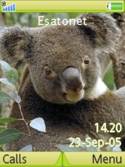 Koala bear K800 / K800i theme