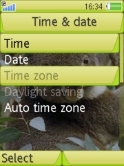Koala bear 