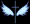Fly