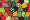 Mosaic colour