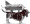 Racet dog