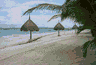 Palm beach from Esato