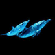 Dolphins