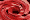 Red soup