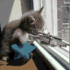 KittySniper