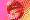 Lips
