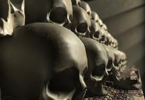 3d skulls