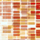 DNA