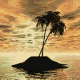 Palm