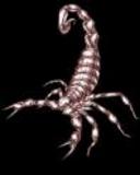 Scorpion from Esato