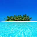 Tropical