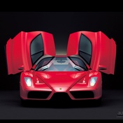 Enzo