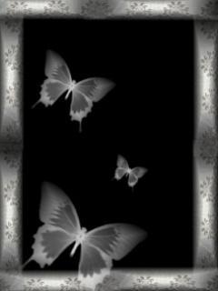 Butterflies from Esato