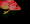 Red fish