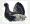 Capercaillie