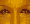 Eyes