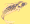 Festival fish