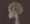 Skeleton