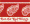 Detroit Red Wings