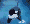 Killer whale