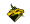 USF Bulls